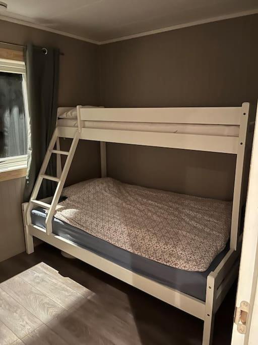 Skjomen Lodge Elvegard Ngoại thất bức ảnh